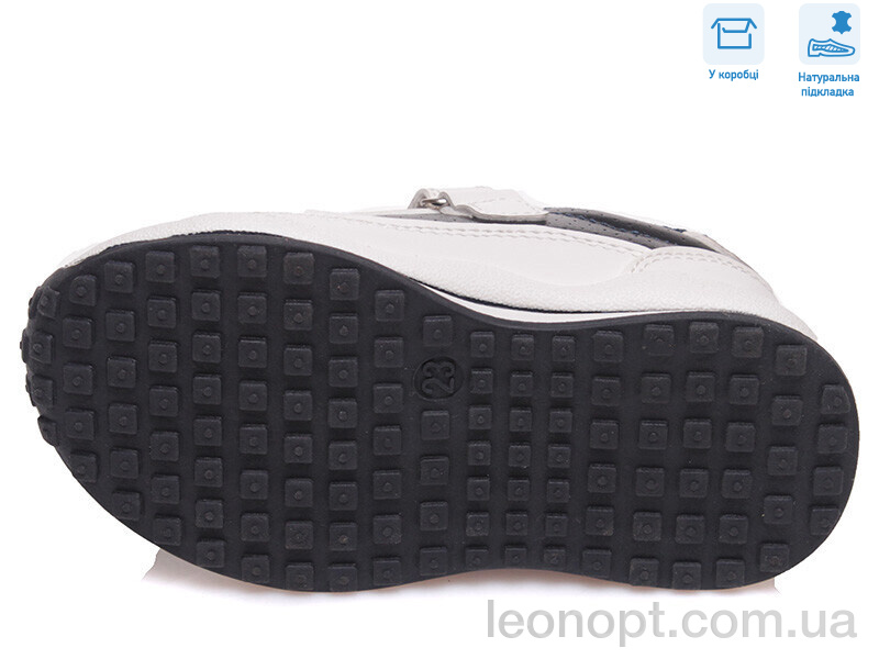 Кросівки Weestep R956363162 DB