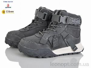 Черевики Clibee-Doremi HC856-1 grey