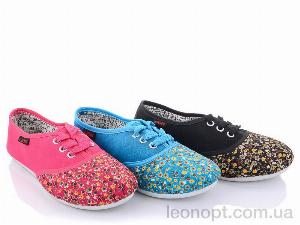 Сліпони Lion 251-19 mix
