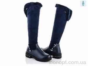 Чоботи SANLIN ALR04-2A