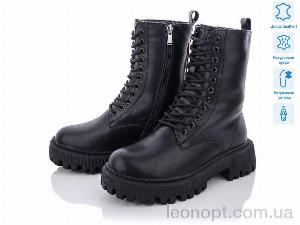 Черевики ITTS DW3512-6